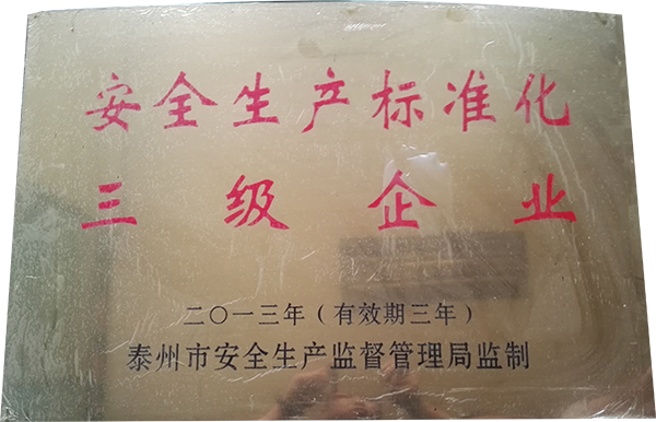 安全生產(chǎn)標(biāo)準化三級企業(yè)